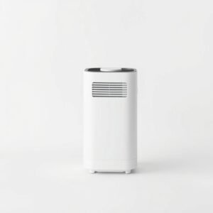 Air Purifier for Home