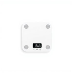 Digital Weighing Scale